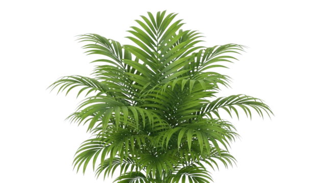 Lush green areca palm fronds against black background - Powered by Adobe