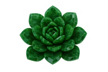 Green jade succulent plant sculpture with faceted leaves set against a clear backdrop