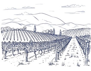 Hand-drawn vineyard landscape with hills and clouds in the background scene