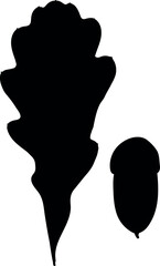 Black silhouette of parts of oak or Quercus robur plant: acorn and leaf isolated on white background