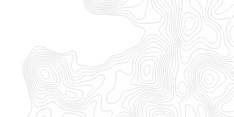 Minimal area white line geometric grid topo map outline. paper curve counter map and wavy topography. relief discovery area white, black line texture background.	