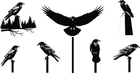 Obraz premium Collection of black silhouette ravens and eagle in flight on white background crow