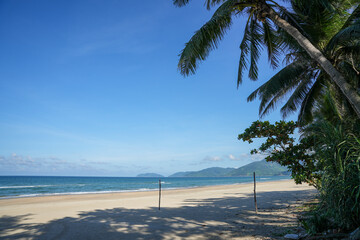 Sunny tropical beach, featuring tall palm trees, soft sand, and a blue ocean under a clear, cloud-dappled sky.