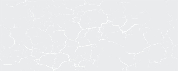 white background with dynamic curve line elegant graphic design element decoration.vector eps10