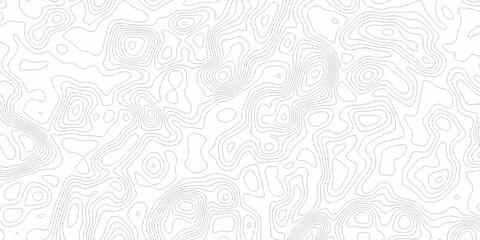 Minimal white line geometric grid outline curve counter map and wavy topography relief discovery area white, black line texture background.	