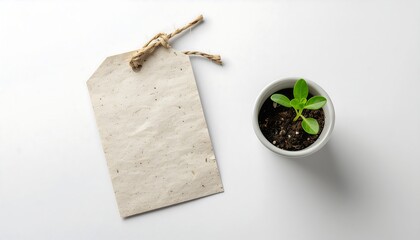 Delicate green plant in white pot beside blank rustic paper tag with twine, embodying new beginnings, sustainable growth, and a natural space for thoughtful messages