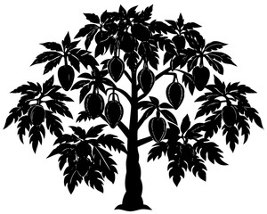 Silhouette of a papaya tree with ripe fruits and large leaves