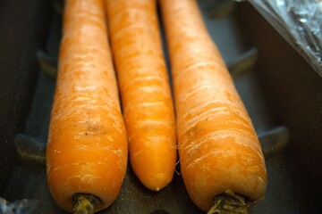 3 whole carrots placed on a black paper tray in close-up, ideal as a vegetable background.