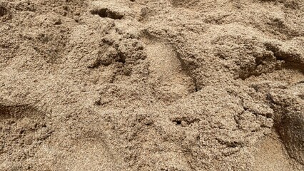 A close-up view of textured brown sand or fine granular soil.