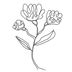 Elegant One-Line Botanical Floral Illustration with Minimalist Bloom Design