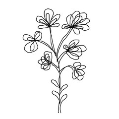 Elegant One-Line Botanical Floral Illustration with Minimalist Bloom Design