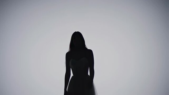 A silhouetted woman in an elegant strapless gown stands against a bright, neutral backdrop
