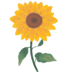 Minimal sunflower illustration with clean line style, symbol of positivity, energy, and happiness.