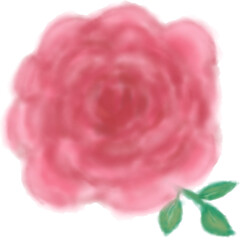 A delicate rose illustration symbolizing love, elegance, and natural beauty, perfect for romantic, floral, and decorative design projects.