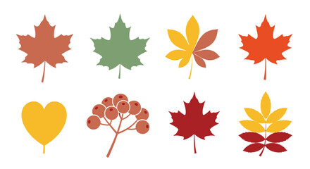 Fototapeta premium Vibrant collection of autumn leaves and berries in warm, earthy tones