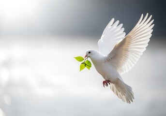 White Dove Flying with Olive Branch Against Bright Background. Generative Ai