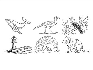coloring page line art the animal and bird black vector bundle