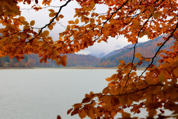 mountain lake at autumn time