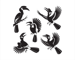 Hornbill flying with wings, soaring with wings, preening feathers, vector silhouette illustration design pack collection set, tropical bird illustration, wildlife vector art, exotic bird silhouette, 