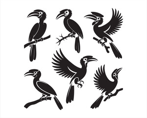 Hornbill flying with wings, soaring with wings, preening feathers, vector silhouette illustration design pack collection set, tropical bird illustration, wildlife vector art, exotic bird silhouette, 