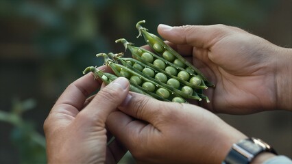 Man Holding Fresh Peas in Pods