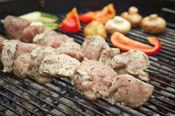 Marinated chicken kebabs and fresh vegetables grilling on barbecue