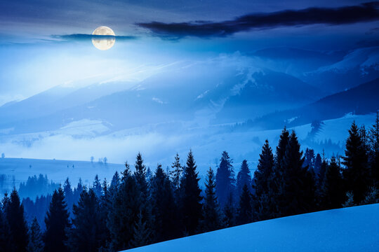 winter landscape at night. fir trees on snow covered hill in full moon light. mysterious place in mountains. winter wonderland background for photo travel. backdrop for fiction art or mystery concepts