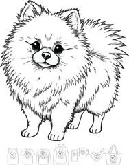 picture, clipart, drawing, illustration, dog, spitz