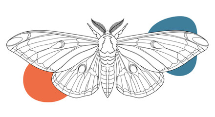 Detailed black and white line art illustration of a large moth with elegant wings and feathered antennae, set against abstract colored shapes.