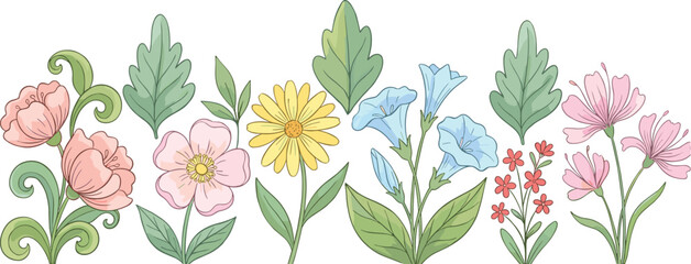 Botanical illustration, pastel flowers, poppies, morning glory, cosmos, daisy, floral line art, decorative nature, spring bloom, garden design, leaves