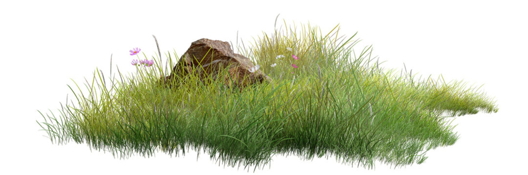 patch of natural grass with a small rock and delicate wildflowers, showcasing fresh greenery and a peaceful outdoor atmosphere.