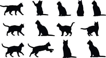 Black cat silhouettes, feline poses, walking, sitting, playing, standing, vector illustration, animal shapes, pet design, isolated graphic