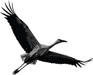 Naklejka premium Flying bird silhouette, crane in motion, black and gray vector, graceful wings, nature illustration, dynamic pose, wildlife art