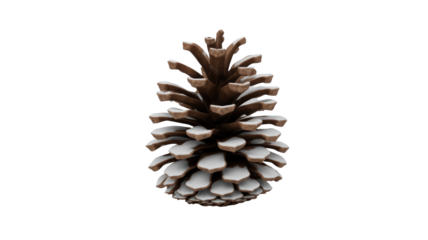 Brown pinecone with snow-dusted scales, rendered in 3D, isolated on a transparent background. Perfect for winter themes and holiday decor. background removed