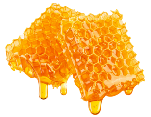 Fresh Honeycomb Slices Mid-Air with Sticky Honey Dripping, Front View, Isolated PNG (2)