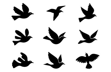 Set of black flying bird silhouettes, a collection of dove and pigeon icons in various flight positions, vector illustration