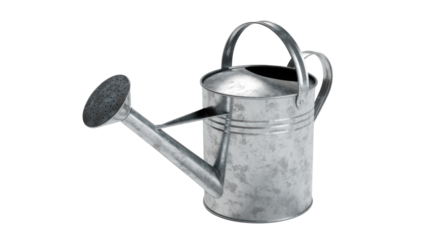 A sturdy, galvanized metal watering can with a long spout and sprinkler head, ready for tending to garden plants. background removed