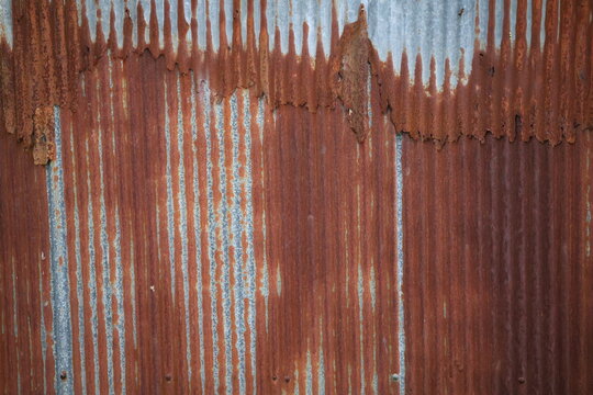 Artistic of old and rusty zinc sheet wall. Vintage style metal sheet roof texture. Pattern of old metal sheet. Rusting metal or siding. Corrosion of galvanized. Background and texture in retro concept