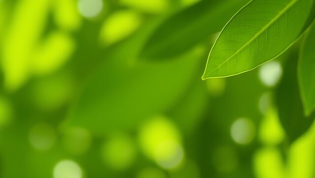 trait. Abstract green leaf pattern with soft focus effect representing environmental sustainability, ESG reports.