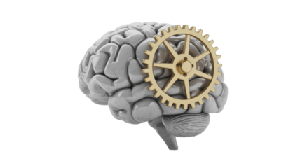 A 3D rendering of a human brain with a golden gear integrated, symbolizing intelligence, mechanical thought, problem-solving, and cognitive processes. background removed