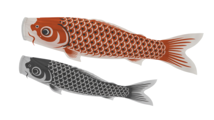 Two colorful Japanese Koinobori carp streamers, one orange-red and one black, traditionally used for Children's Day celebrations, symbolizing strength. background removed