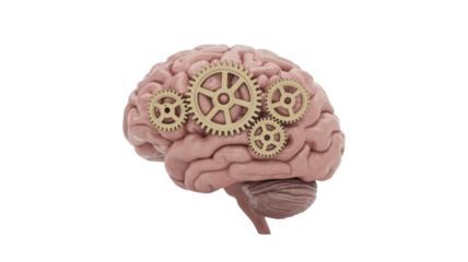 A 3D render of a human brain with interconnected golden gears, symbolizing complex thought processes, intelligence, and cognitive mechanisms in action. background removed