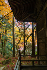雷山千如寺 大悲王院の紅葉