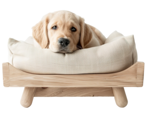 A dog rests its head on a cushion in a wooden frame bed. The bed is set on a transparent background. The scene shows comfort and a cozy spot for pets