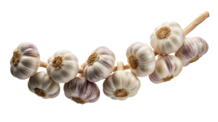 A string of fresh, whole garlic bulbs, some with subtle purple stripes, expertly braided and presented on a solid transparent background. background removed