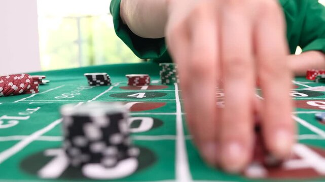 Woman places chips on casino green felt table. Lady arranges stacks of colorful chips in neat rows. Lady counts out set of chips organizing by value