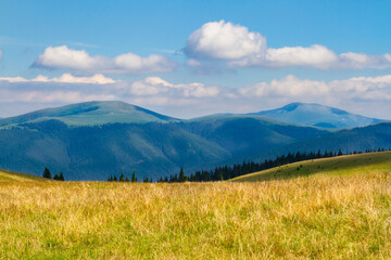Fototapeta premium The beautiful landscape of the Lotru Mountains Picturesque slopes covered with tall grass and coniferous forest. Southern Carpathians, Romania