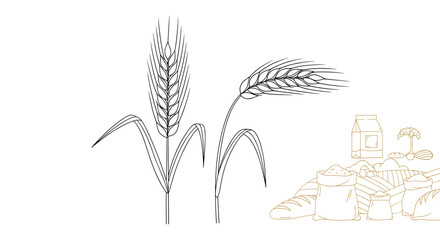 Fototapeta premium Minimalist line art illustration of wheat stalks in the foreground with a simple outline of a farm landscape in the background.