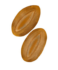 Oil pastel sourdough illustration with transparent background