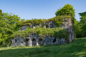 A view of the ruins of an 8th-century Christian basilica (the Myussera Church) on a sunny May day. Abkhazia